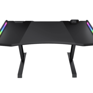 Gaming Desk