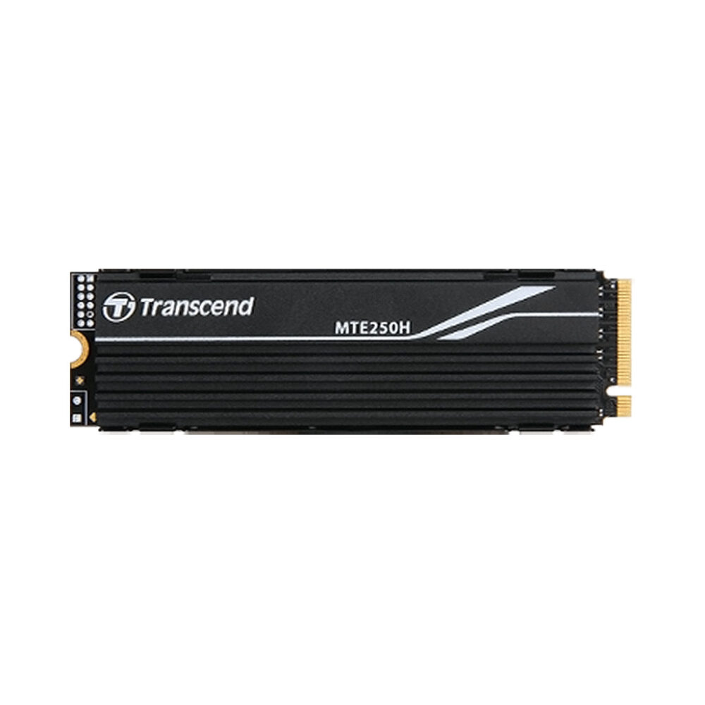 SSD M.2 2280 PCIe NVMe Gen4 1TB With Heat Sink MTE250H