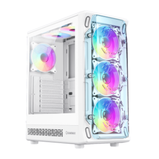 Case